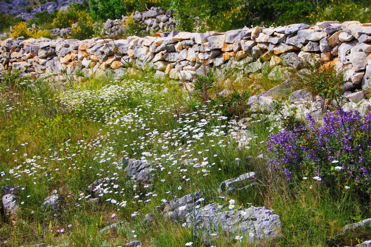 Villa Zlatno Sunce In The Hills Near Trogir Vrsine Exterior photo